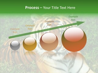 Team Corporation Figure PowerPoint Template