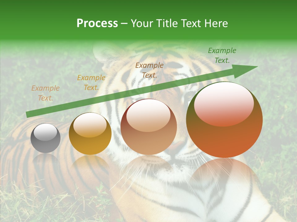 Team Corporation Figure PowerPoint Template