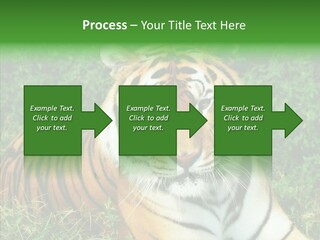 Team Corporation Figure PowerPoint Template