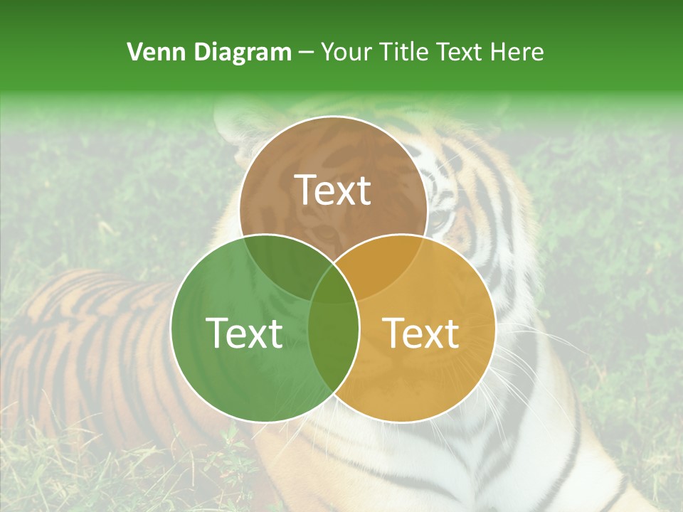 Team Corporation Figure PowerPoint Template