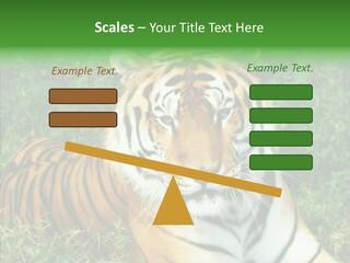 Team Corporation Figure PowerPoint Template