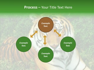 Team Corporation Figure PowerPoint Template