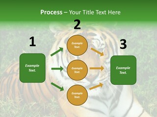 Team Corporation Figure PowerPoint Template