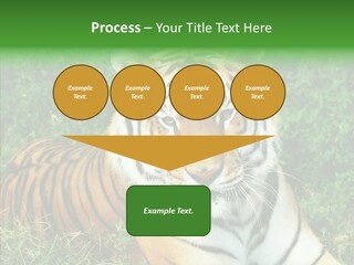 Team Corporation Figure PowerPoint Template