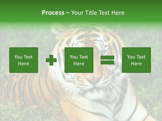 Team Corporation Figure PowerPoint Template