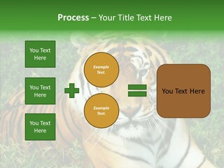 Team Corporation Figure PowerPoint Template