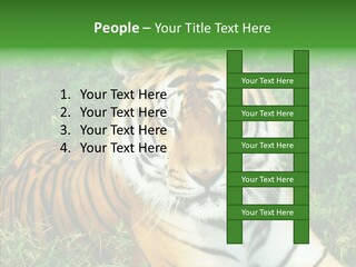 Team Corporation Figure PowerPoint Template