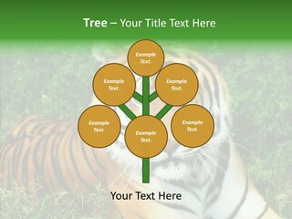 Team Corporation Figure PowerPoint Template