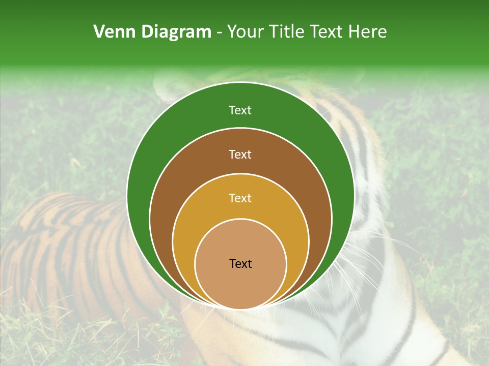 Team Corporation Figure PowerPoint Template