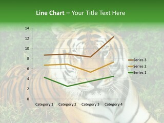 Team Corporation Figure PowerPoint Template