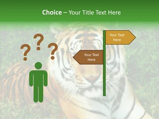 Team Corporation Figure PowerPoint Template