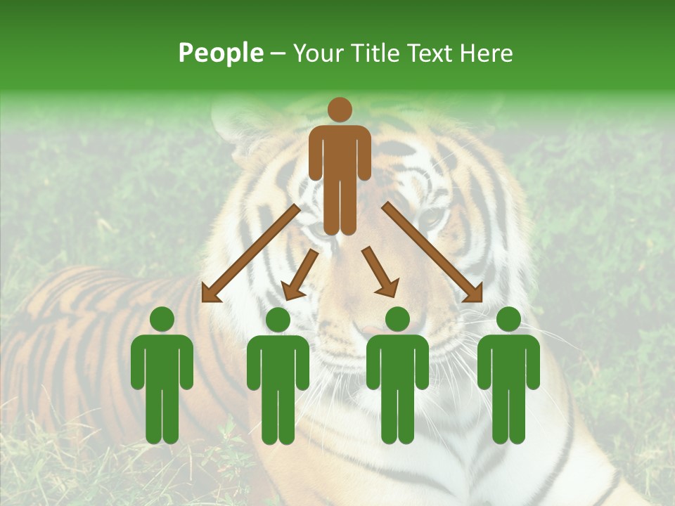 Team Corporation Figure PowerPoint Template