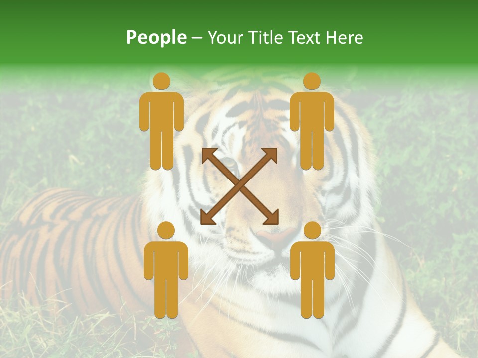 Team Corporation Figure PowerPoint Template