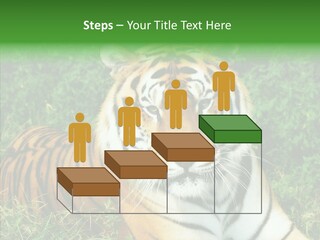 Team Corporation Figure PowerPoint Template