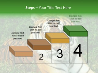 Team Corporation Figure PowerPoint Template