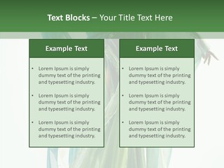 Sorceress White Beautiful PowerPoint Template