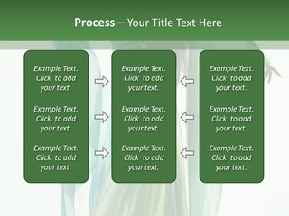 Sorceress White Beautiful PowerPoint Template