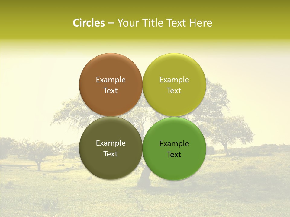 Tree Wind Grow PowerPoint Template