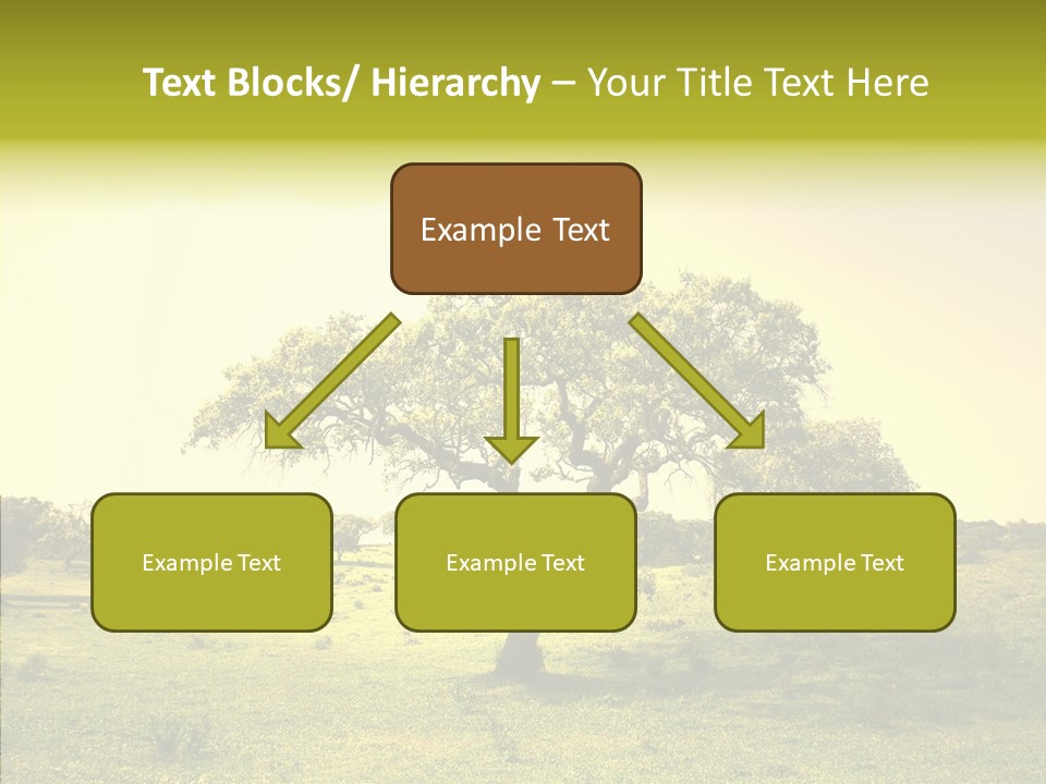 Tree Wind Grow PowerPoint Template