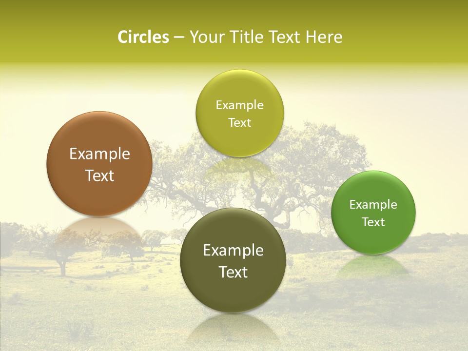 Tree Wind Grow PowerPoint Template