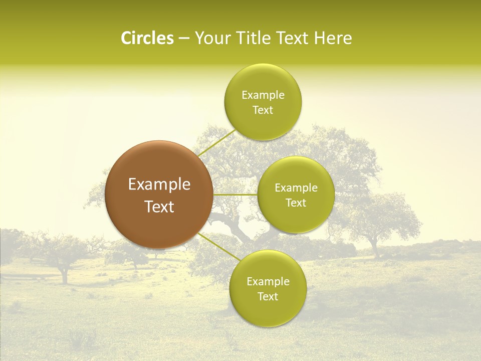 Tree Wind Grow PowerPoint Template