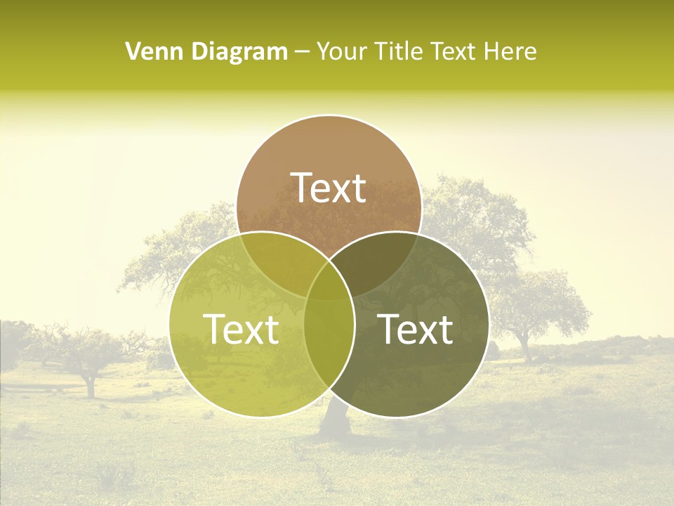Tree Wind Grow PowerPoint Template