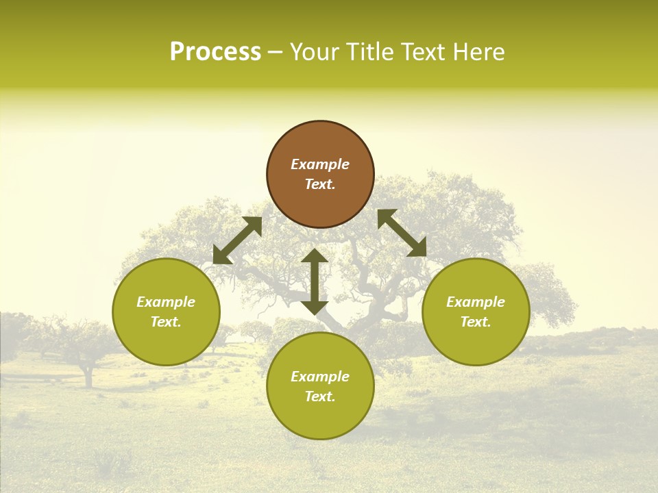 Tree Wind Grow PowerPoint Template