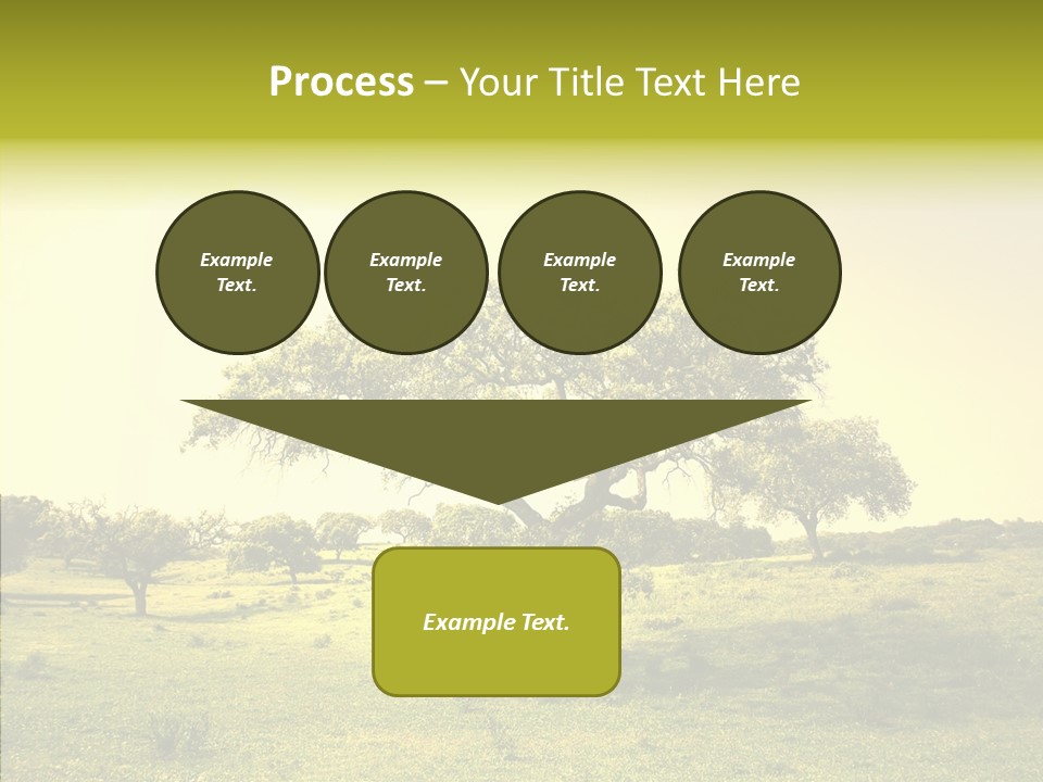 Tree Wind Grow PowerPoint Template