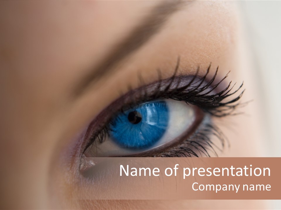 Dilate Lashes Inspect PowerPoint Template