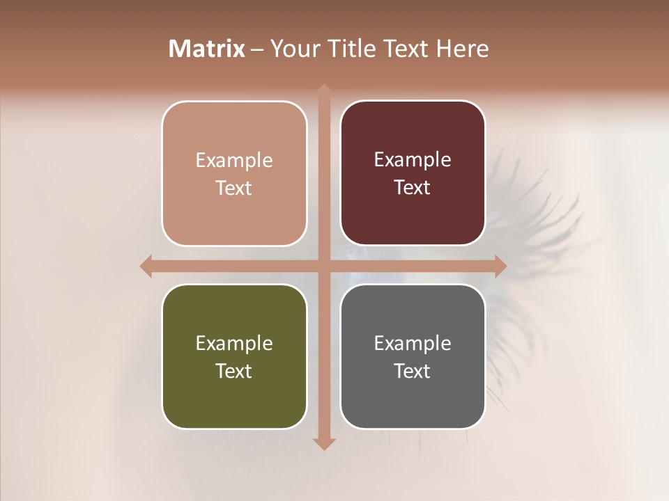 Dilate Lashes Inspect PowerPoint Template