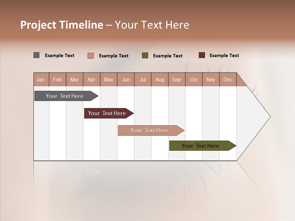 Dilate Lashes Inspect PowerPoint Template