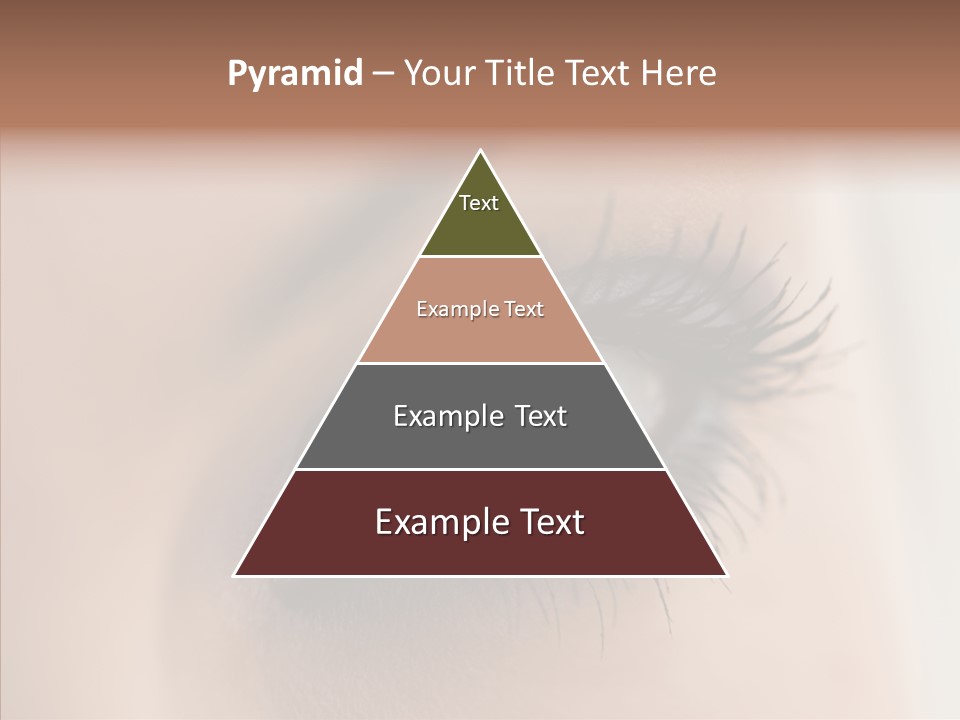 Dilate Lashes Inspect PowerPoint Template
