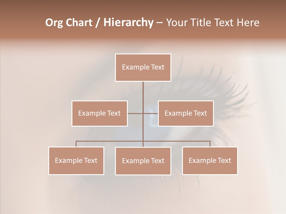 Dilate Lashes Inspect PowerPoint Template