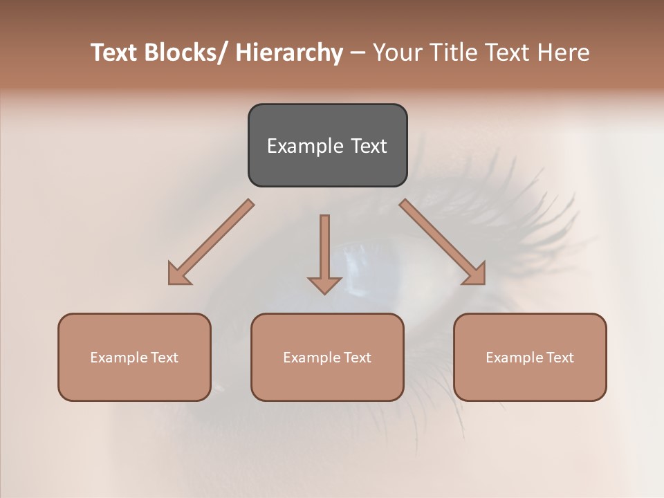 Dilate Lashes Inspect PowerPoint Template