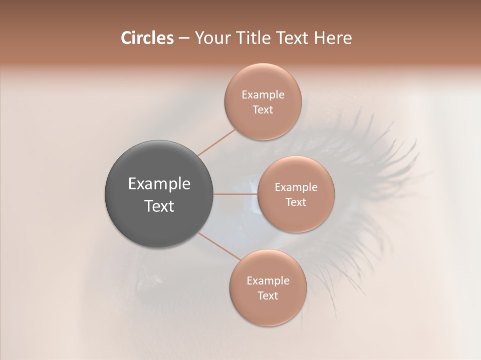 Dilate Lashes Inspect PowerPoint Template