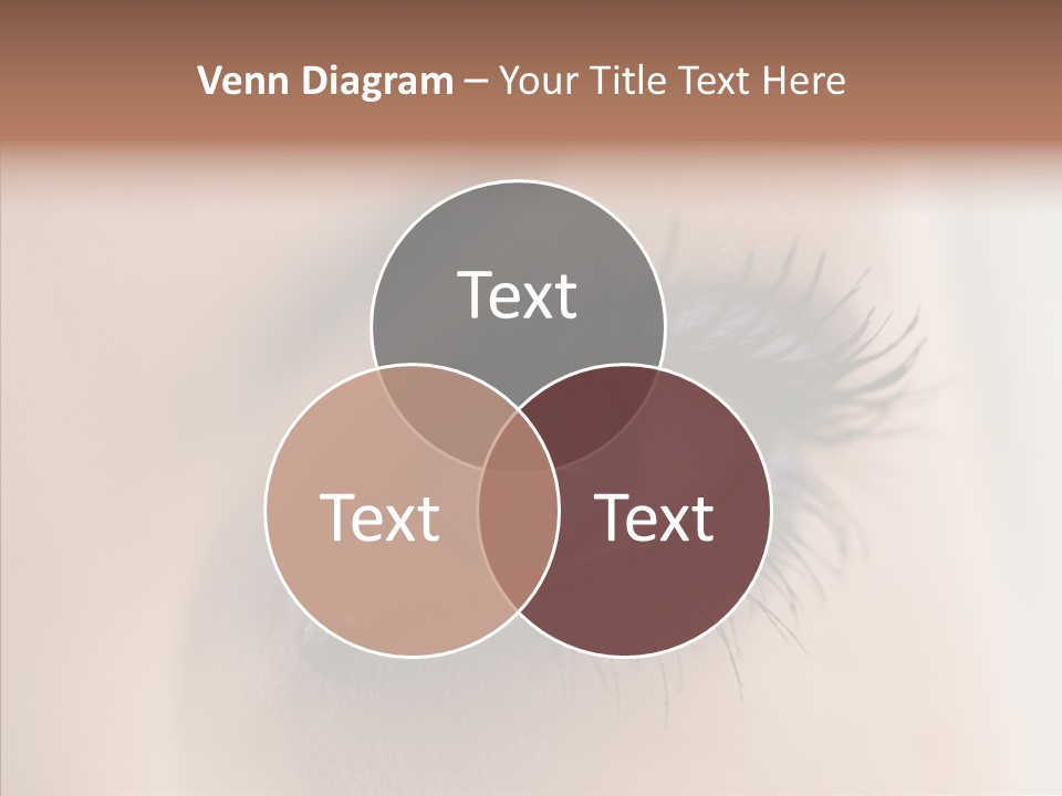 Dilate Lashes Inspect PowerPoint Template