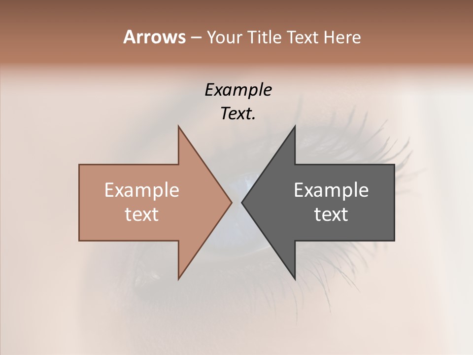 Dilate Lashes Inspect PowerPoint Template