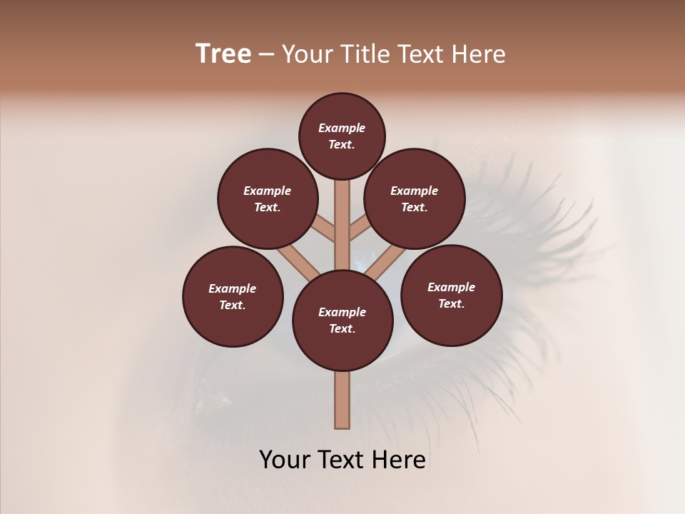 Dilate Lashes Inspect PowerPoint Template