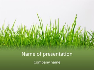 Harmony Plant Field PowerPoint Template