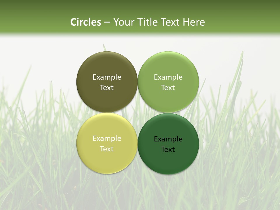 Harmony Plant Field PowerPoint Template