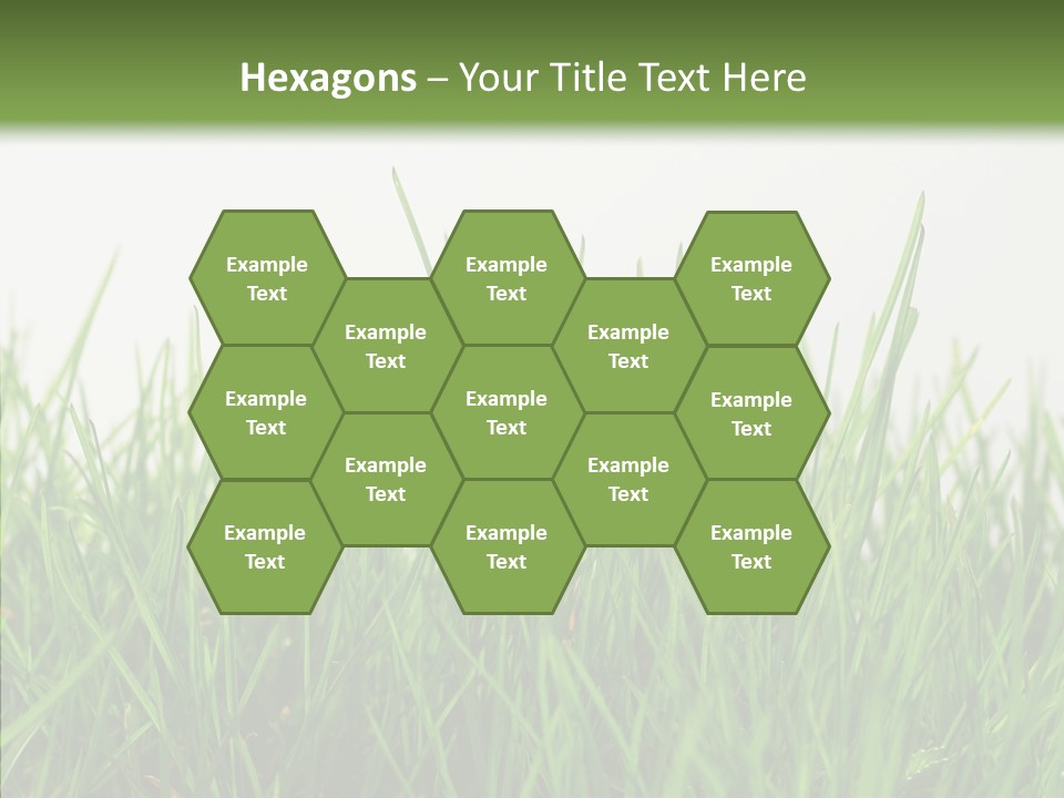 Harmony Plant Field PowerPoint Template