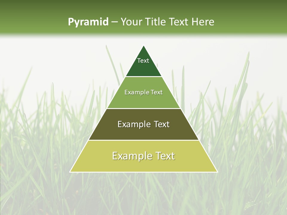 Harmony Plant Field PowerPoint Template