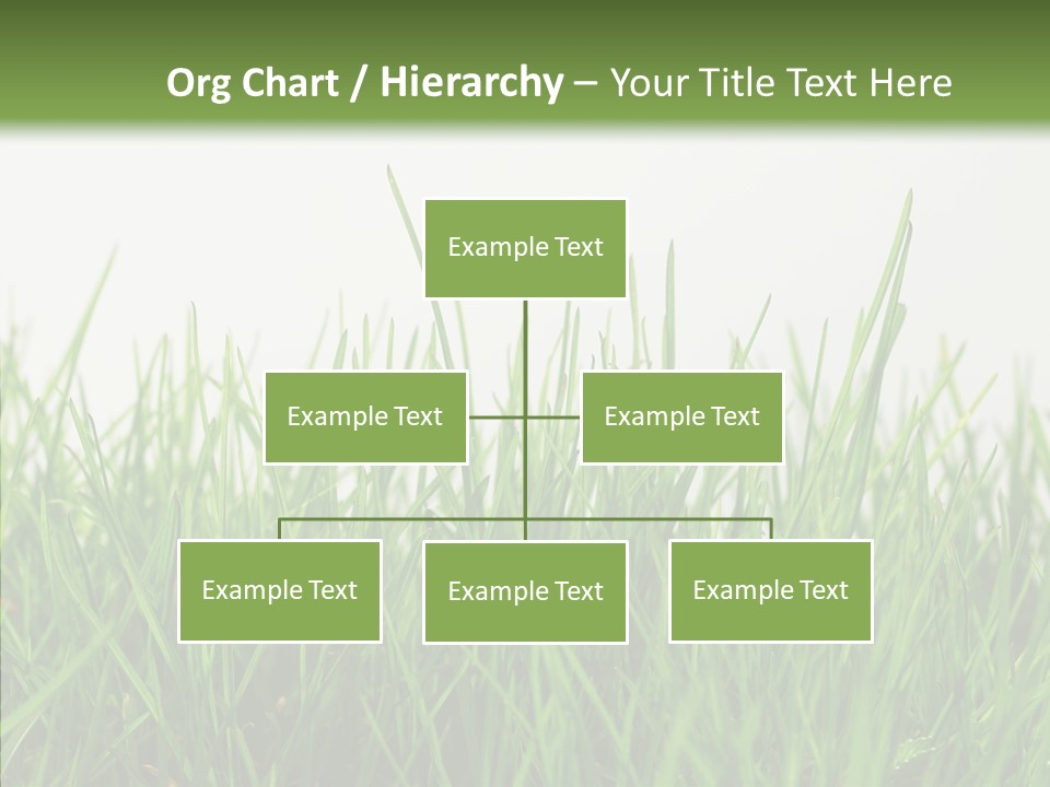 Harmony Plant Field PowerPoint Template