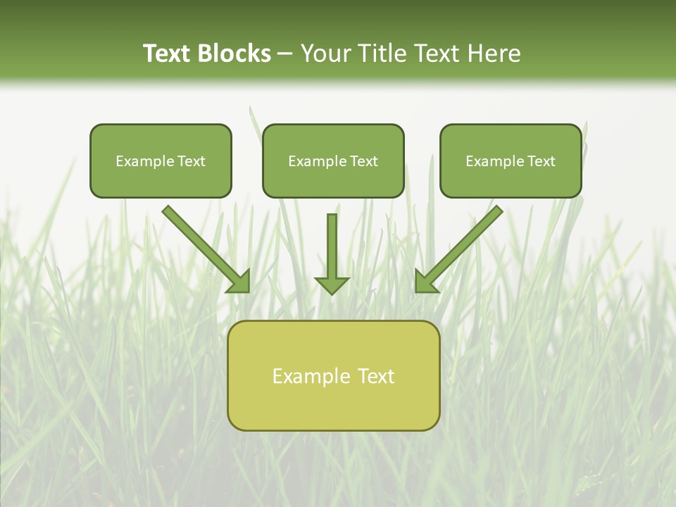 Harmony Plant Field PowerPoint Template