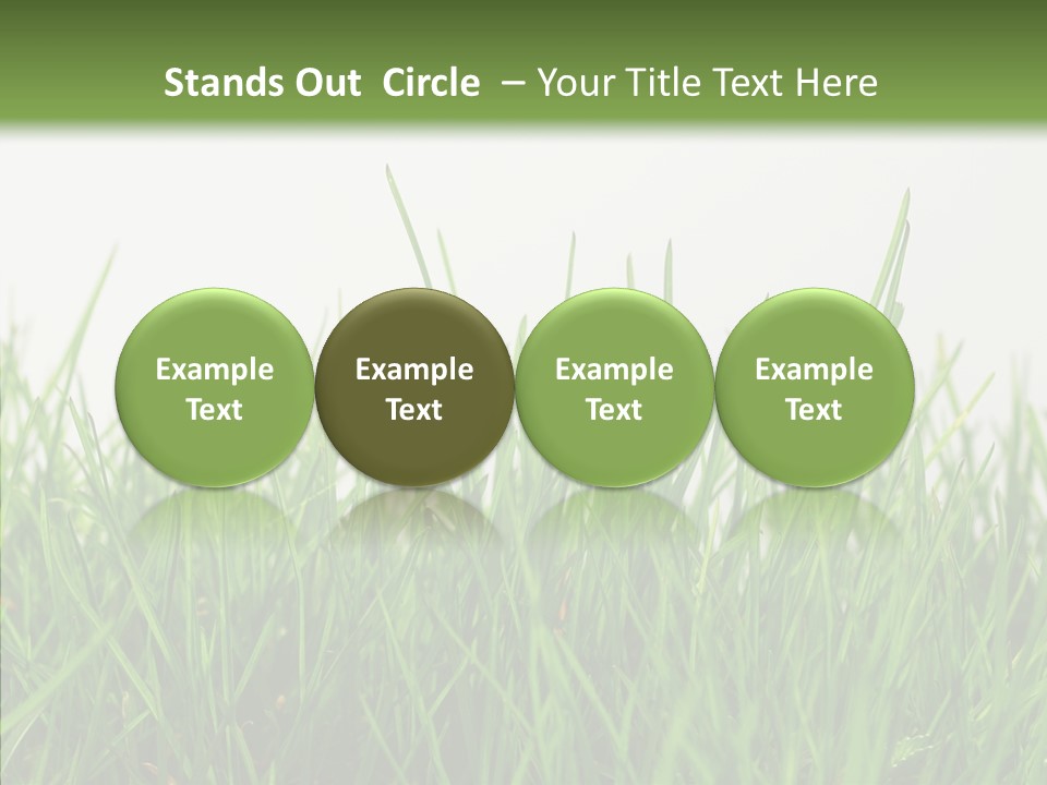 Harmony Plant Field PowerPoint Template
