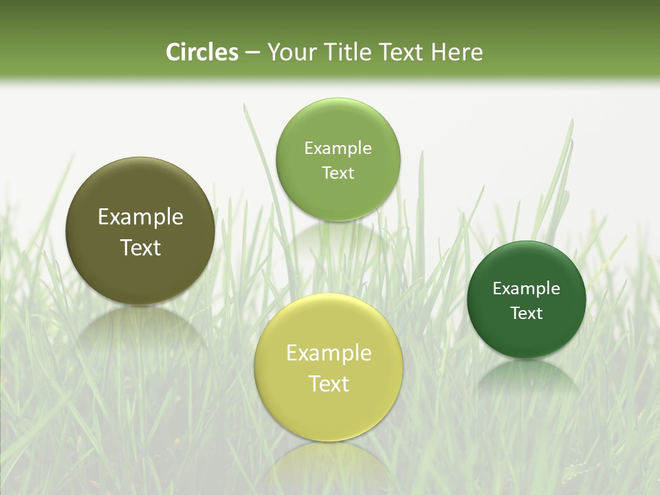 Harmony Plant Field PowerPoint Template