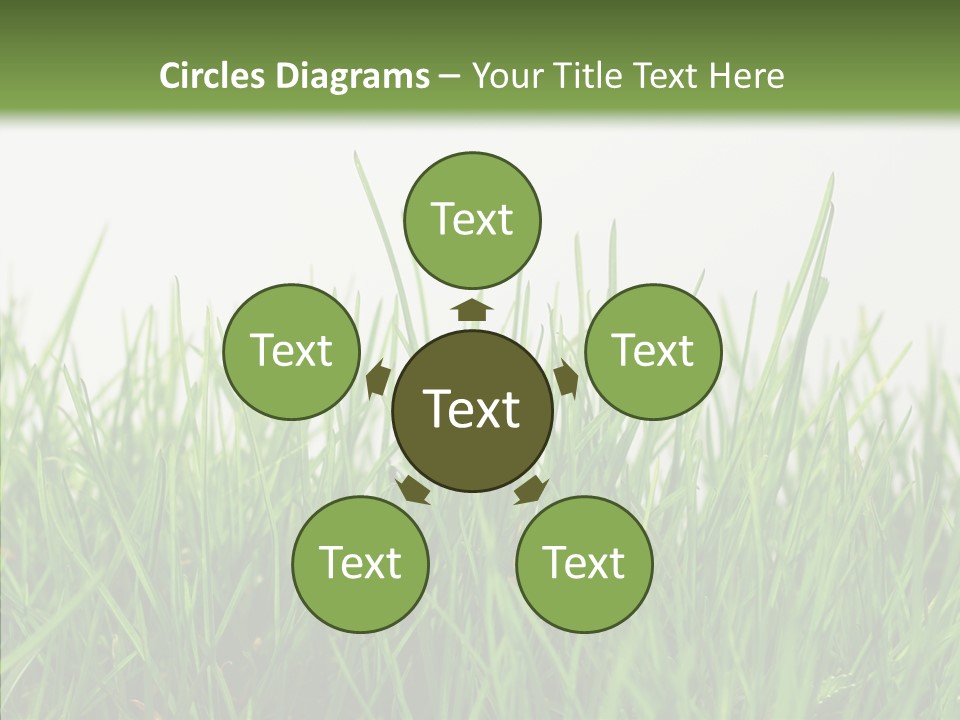 Harmony Plant Field PowerPoint Template