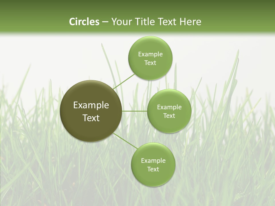 Harmony Plant Field PowerPoint Template