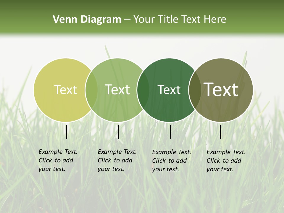 Harmony Plant Field PowerPoint Template