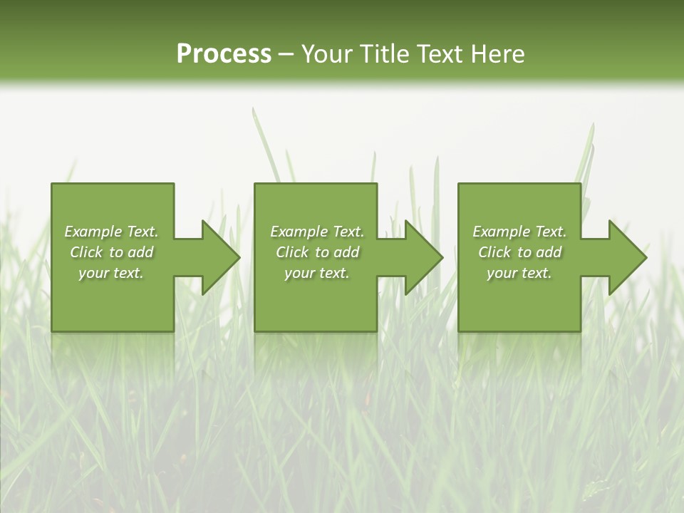 Harmony Plant Field PowerPoint Template